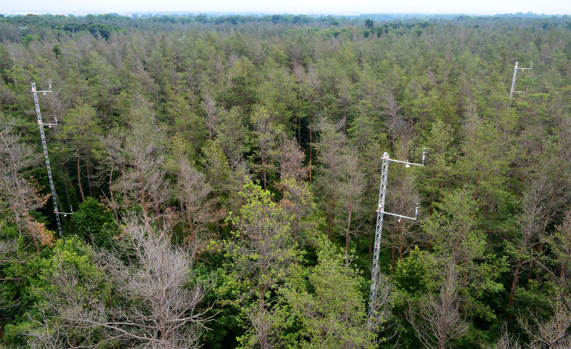 Turbulenzmessungen an der Forstmeteorologischen Station Hartheim